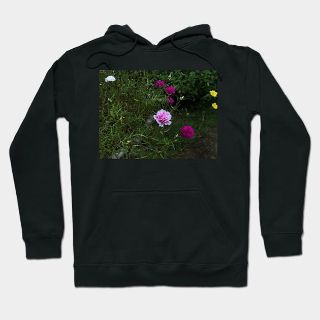 pink flower in the garden Hoodie by likbatonboot